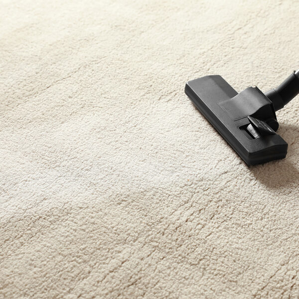 Removing dirt from light carpet with vacuum cleaner. Space for text
